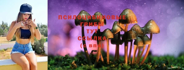 марки lsd Саяногорск