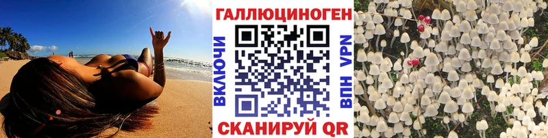 наркота  Шенкурск  Псилоцибиновые грибы Magic Shrooms 